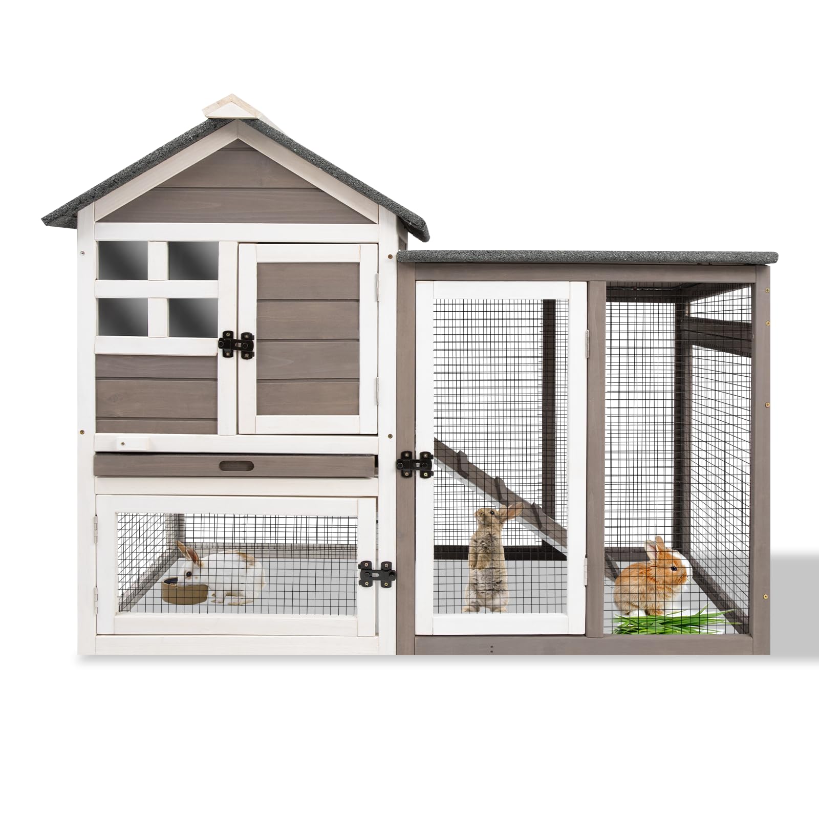 Effective Methods for Caring for Curly Haired Rats in 2025