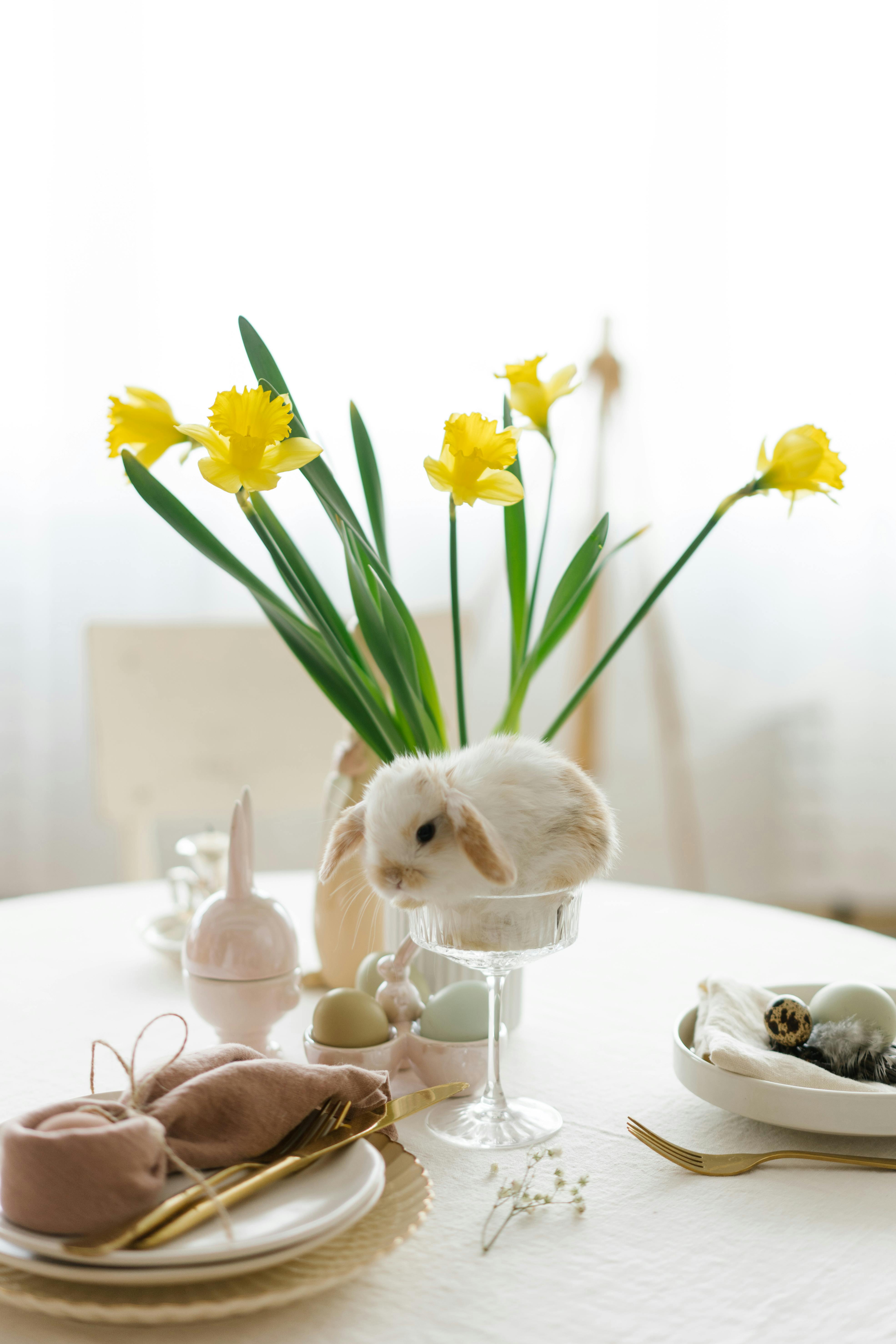 Keeping hamster clean