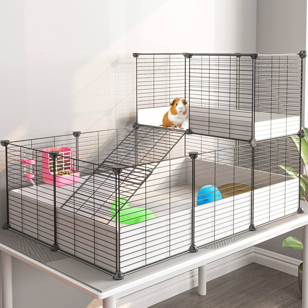 Guinea Pig Cage Setup