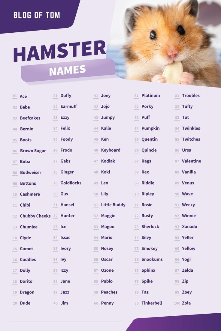 Male Hamster Names